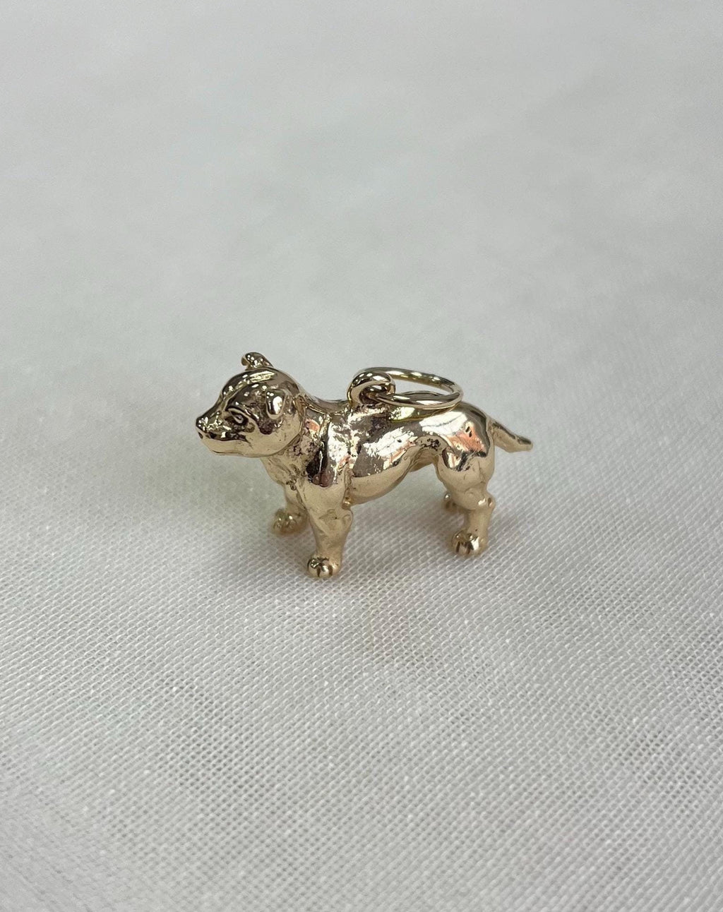 Gold dog charm on white fabric background