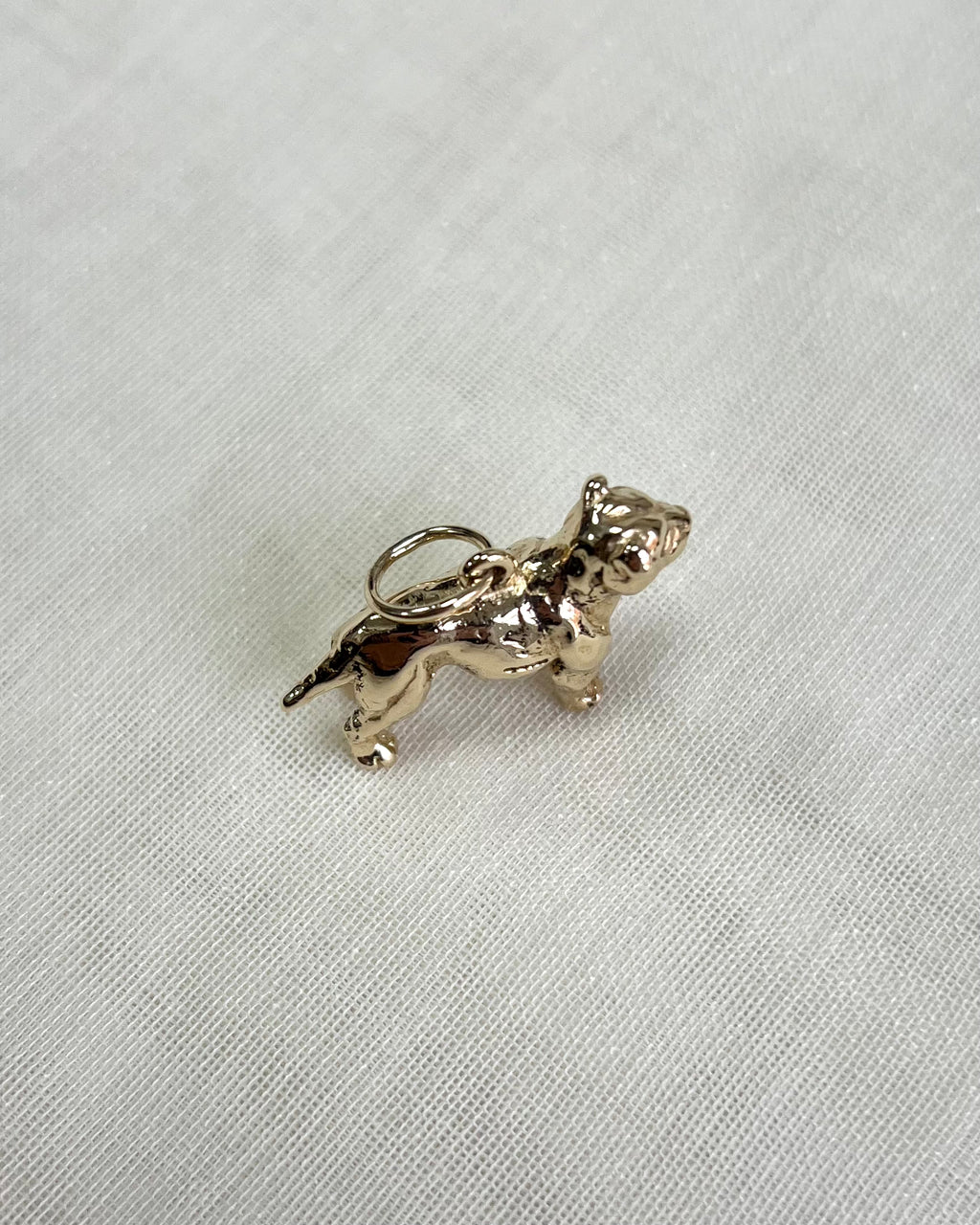 gold dog charm on white fabric background
